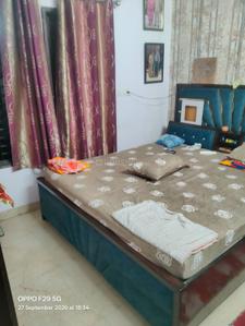 Bedroom Image of 603 Sq.ft 3 BHK Apartment / Flat for rent in Uttam Nagar New Delhi for Rs. 20000
