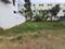 oddapatti Main Image 1