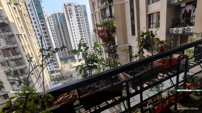 Balcony Image of 1841 Sq.ft 3 BHK Apartment / Flat for sale in Modello Highs, Kamalgazi Kolkata for Rs. 17500000