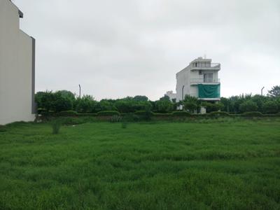 Mansha Oaks Plot View 2