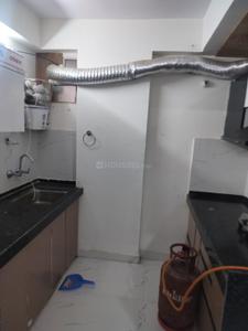 Kitchen Image of 553 Sq.ft 2 BHK Apartment / Flat for rent in DDCL Elanza, Jagatpura Jaipur for Rs. 25000