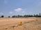 Kadthal Plot View 2