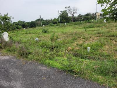 Residential Plot
