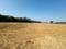 SKYWOOD Main Image 1