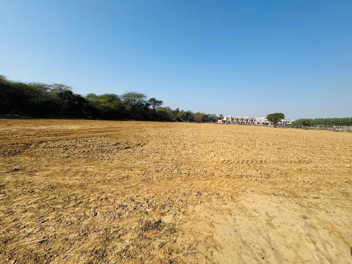 SKYWOOD Main Image 1