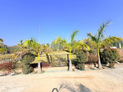 Image of 158 Sq.ft Residential Plot / Land for sale in Sunderpur, Saharanpur for Rs. 2325678