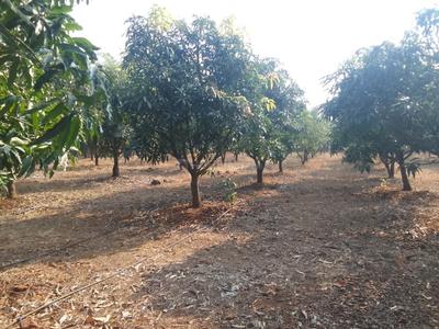 Image of 90000 Sq.ft Residential Plot / Land for sale in Trimbak, Nashik for Rs. 27500000