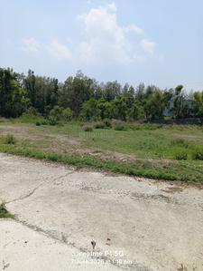 Image of 1800 Sq.ft Residential Plot / Land for sale in Thano, Dehradun for Rs. 5000000