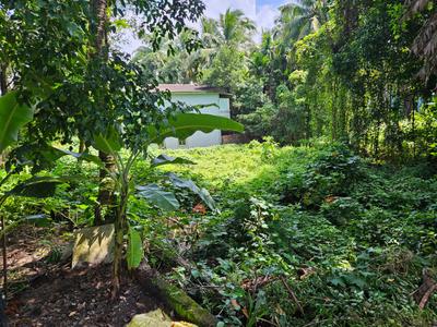 Image of 472 Sq.ft Residential Plot / Land for sale in Parra, Goa for Rs. 35400000