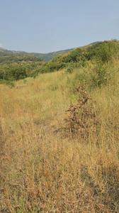 Image of 11000 Sq.ft Residential Plot / Land for sale in Bhor, Pune for Rs. 1710000