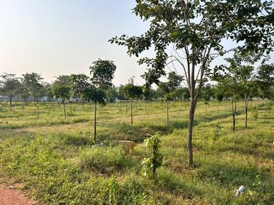Image of 111 Sq.ft Residential Plot / Land for sale in Kothavalasa, Visakhapatnam for Rs. 666000