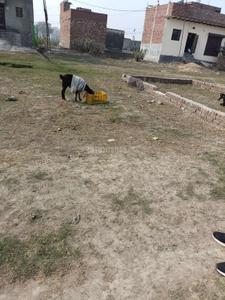 Image of 540 Sq.ft Residential Plot / Land for sale in Ismailpur Extension, Faridabad for Rs. 780000