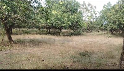 Image of 300 Sq.ft Residential Plot / Land for sale in Chelluru, Vizianagaram for Rs. 4800000