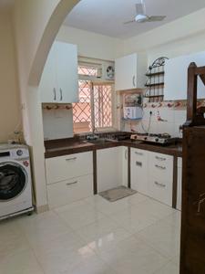 Kitchen Image of 1022 Sq.ft 2 BHK Apartment / Flat for rent in Models Status, Panjim Goa for Rs. 70000