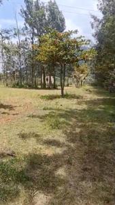 Image of 91476 Sq.ft Residential Plot / Land for sale in Nandi Hills, Chikballapur District for Rs. 126000000