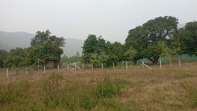 Image of 4356 Sq.ft Residential Plot / Land for sale in Nunna, Vijayawada for Rs. 2000000