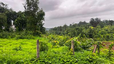 Image of 29403 Sq.ft Residential Plot / Land for sale in Murbad, Thane for Rs. 3510000