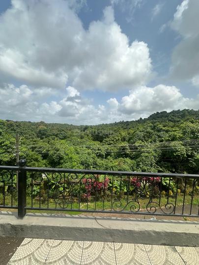 Nachinola Main Image 1