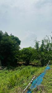 Image of 5000 Sq.ft Residential Plot / Land for sale in Kapasda, Durg for Rs. 2875000