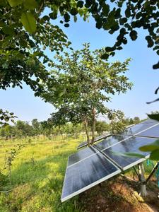Image of 111 Sq.ft Residential Plot / Land for sale in Kothavalasa, Visakhapatnam for Rs. 666000