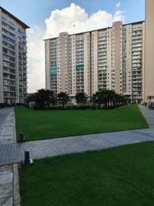 Image of 3000 Sq.ft 4 BHK Apartment / Flat for rent in Jagatpura, Jaipur for Rs. 155000