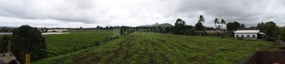 Image of 10780 Sq.ft Residential Plot / Land for sale in Dugaon, Nashik for Rs. 5551000