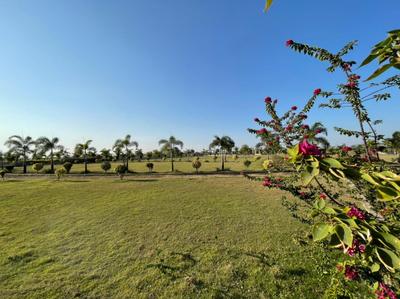 Image of 600 Sq.ft Residential Plot / Land for sale in Aranya City Of Woodland, Pacheda 1, Raipur for Rs. 501000