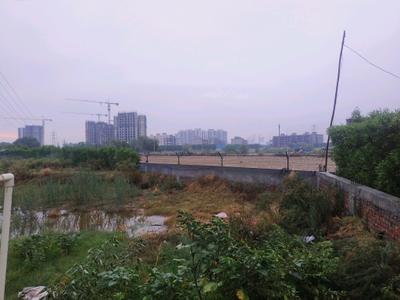 Image of 123 Sq.ft Residential Plot / Land for sale in Skywhales Vienna Greens, Sector 99A, Gurgaon for Rs. 22750007