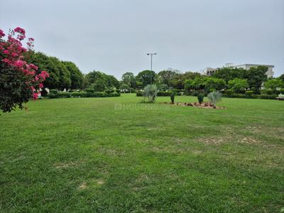 Residential Plot