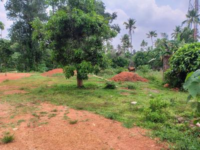Image of 1400 Sq.ft Residential Plot / Land for sale in Chalakudy, Thrissur for Rs. 16500000