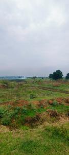 Image of 43560 Sq.ft Residential Plot / Land for sale in Medigadda, Ranga Reddy for Rs. 9000000