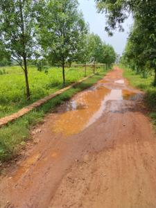 Image of 1250 Sq.ft Residential Plot / Land for sale in Phulnakhara, Cuttack for Rs. 3875000