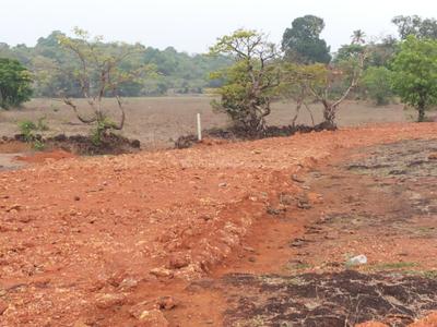 Image of 13250 Sq.ft Residential Plot / Land for sale in Bicholim, Goa for Rs. 140000000