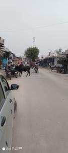 Image of 405 Sq.ft Residential Plot / Land for sale in Ismailpur Extension, Faridabad for Rs. 675000