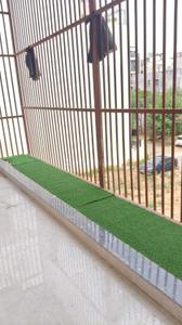Balcony Image of 7200 Sq.ft 12 BHK Independent House for sale in Sector 57 Gurgaon for Rs. 75000000