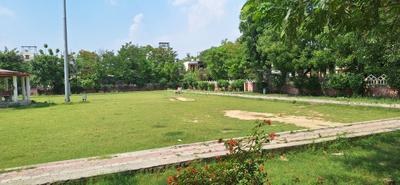 Sec P 3 Plot View 1