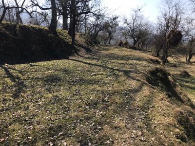 Image of 8953 Sq.ft Residential Plot / Land for sale in Khatyari, Almora for Rs. 5800000