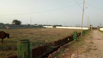 Yerkheda More Images 3