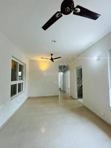 Hall Image of 1205 Sq.ft 2 BHK Apartment / Flat for sale in Mapsko Casa Bella, Sector 82 Gurgaon for Rs. 12500000