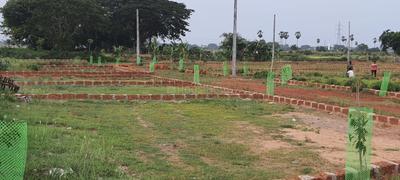 Image of 1500 Sq.ft Residential Plot / Land for sale in Hanspal, Bhubaneswar for Rs. 2400000