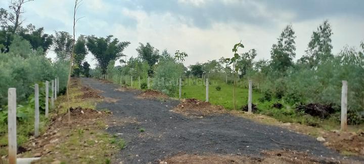 Hanshika farm Main Image 1