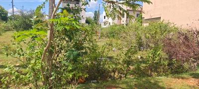 Image of 1200 Sq.ft Residential Plot / Land for sale in Basavanahalli, Mysore for Rs. 10500000