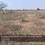 Shadnagar Main Image 1