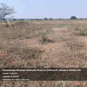 Shadnagar Plot View 1