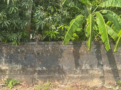 Image of 3484 Sq.ft Residential Plot / Land for sale in Chembukkav, Thrissur for Rs. 5400000