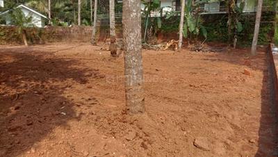 Image of 445 Sq.ft Residential Plot / Land for sale in Kuthuparamba, Kannur for Rs. 2700000