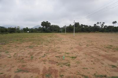 Image of 10320 Sq.ft Residential Plot / Land for sale in Palathurai, Coimbatore for Rs. 12000000
