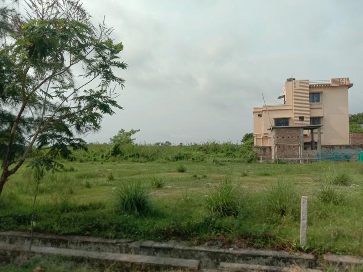 Apparent JB Garden Main Image 1
