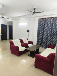 Hall Image of 500 Sq.ft 1 BHK Apartment / Flat for rent in Amrapali Village II, Indirapuram Ghaziabad for Rs. 13000