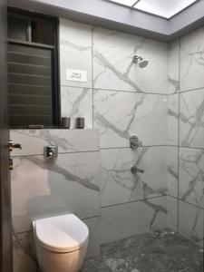Common Bathroom Image of 1000 Sq.ft 2 BHK Apartment / Flat for sale in Rahul Downtown by Rahul Construction Co, Punawale Pune for Rs. 8725000